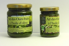 Ail_des_ours_14