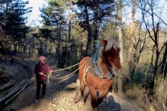 Cheval-1
