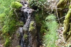 Paysage-2