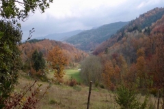 Paysage-7