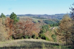 Vue sur la ferme
