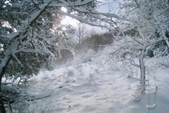 Hiver_2