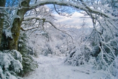 Hiver_3