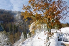 Hiver_7