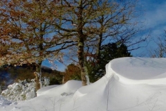 Hiver_9