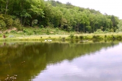 Le lac vers la prairie
