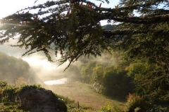 Le lac en automne