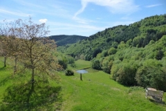 Le lac au printemps